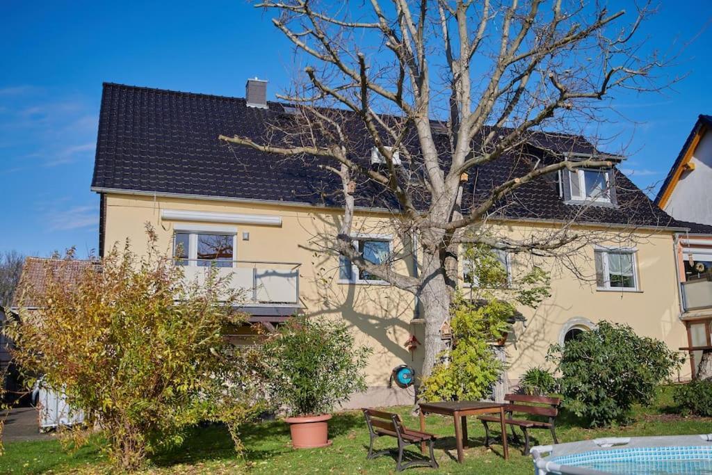 Gemuetliche Ferienwohnung In Laendlicher Lage Riesa Exteriör bild